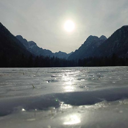 Апартаменты Turisticna Kmetija Psnak Мойстрана Экстерьер фото
