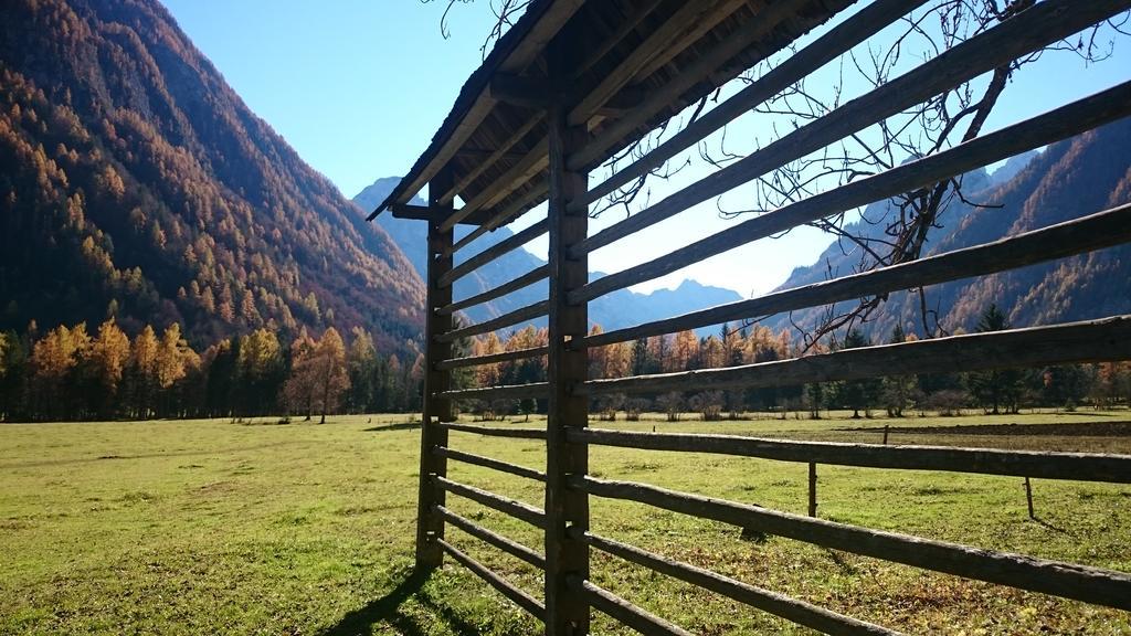 Апартаменты Turisticna Kmetija Psnak Мойстрана Экстерьер фото