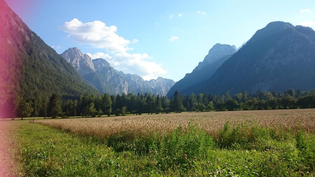 Апартаменты Turisticna Kmetija Psnak Мойстрана Экстерьер фото
